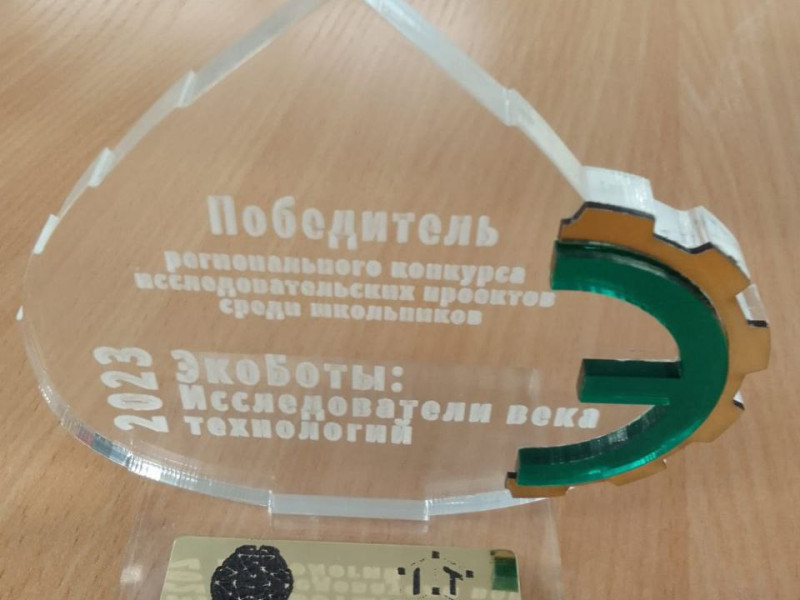 Победа в краевом конкурсе «Эко боты: исследователи века технологий».